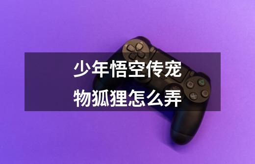少年悟空传宠物狐狸怎么弄-第1张-游戏信息-龙启网