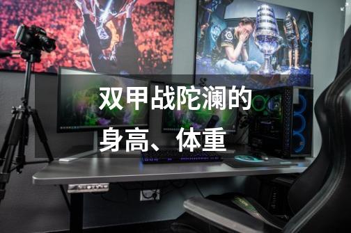 双甲战陀澜的身高、体重-第1张-游戏信息-龙启网