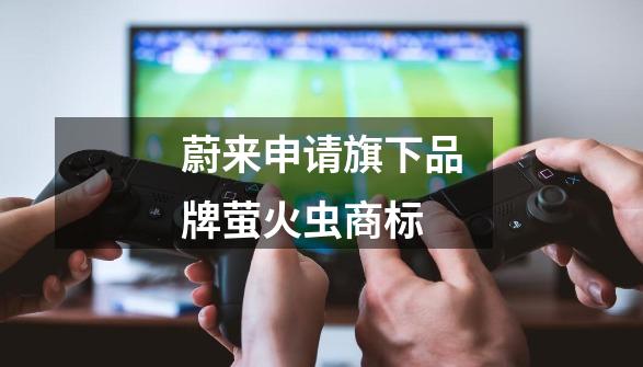 蔚来申请旗下品牌萤火虫商标-第1张-游戏信息-龙启网