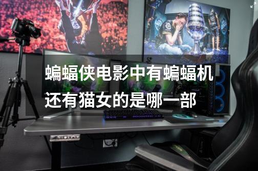 蝙蝠侠电影中有蝙蝠机还有猫女的是哪一部-第1张-游戏信息-龙启网