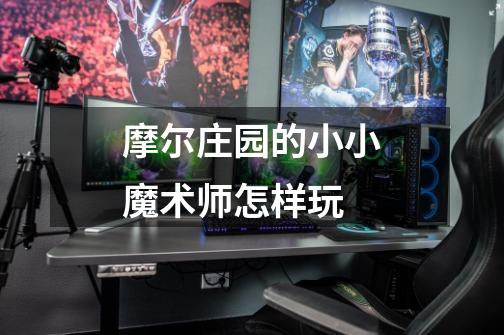 摩尔庄园的小小魔术师怎样玩-第1张-游戏信息-龙启网