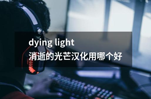 dying light消逝的光芒汉化用哪个好-第1张-游戏信息-龙启网