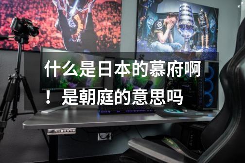 什么是日本的慕府啊！是朝庭的意思吗-第1张-游戏信息-龙启网