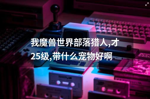 我魔兽世界部落猎人,才25级,带什么宠物好啊-第1张-游戏信息-龙启网
