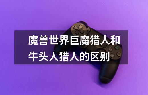 魔兽世界巨魔猎人和牛头人猎人的区别-第1张-游戏信息-龙启网