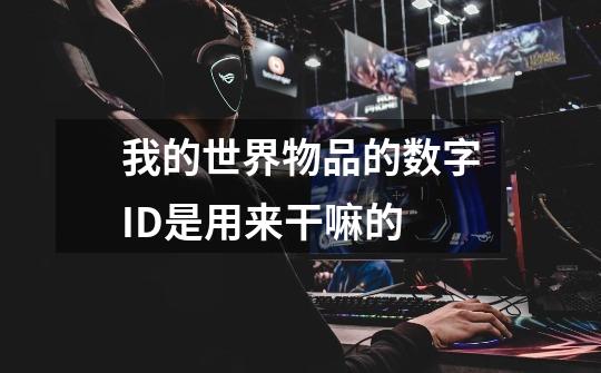 我的世界物品的数字ID是用来干嘛的-第1张-游戏信息-龙启网