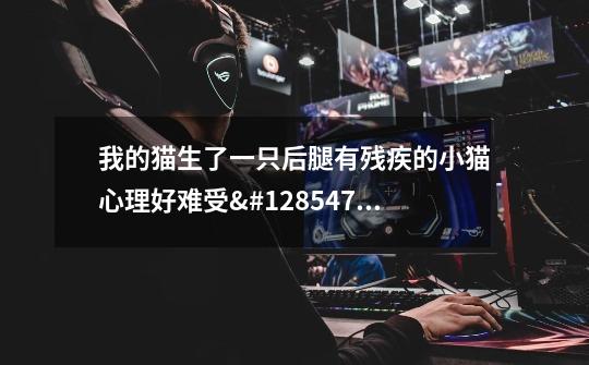 我的猫生了一只后腿有残疾的小猫心理好难受😣-第1张-游戏信息-龙启网