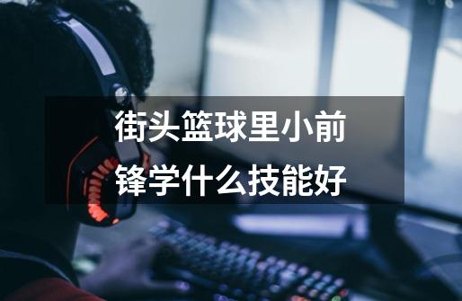 街头篮球里小前锋学什么技能好-第1张-游戏信息-龙启网