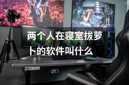 两个人在寝室拔萝卜的软件叫什么-第1张-游戏信息-龙启网