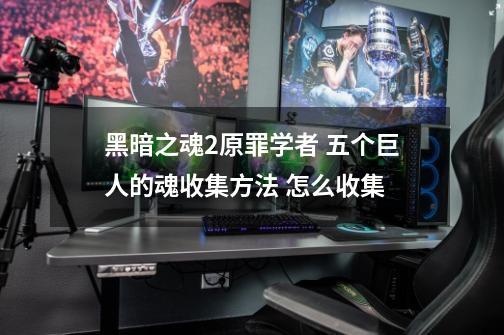 黑暗之魂2原罪学者 五个巨人的魂收集方法 怎么收集-第1张-游戏信息-龙启网
