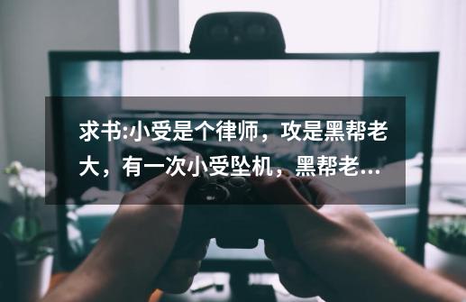 求书:小受是个律师,攻是黑帮老大,有一次小受坠机,黑帮老大去找,好像还有一个是军火库钥匙的项链-第1张-游戏信息-龙启网