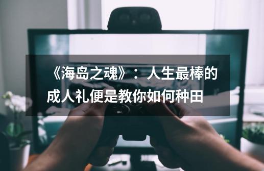 《海岛之魂》:人生最棒的成人礼便是教你如何种田-第1张-游戏信息-龙启网