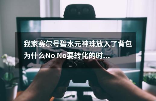 我家赛尔号碧水元神珠放入了背包为什么No No要转化的时候没有。（我的No No有元神武芯片）-第1张-游戏信息-龙启网