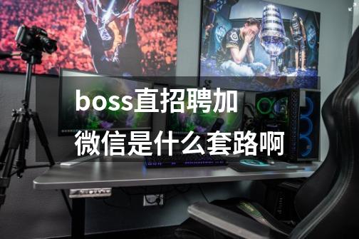 boss直招聘加微信是什么套路啊-第1张-游戏信息-龙启网