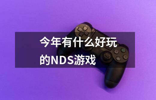 今年有什么好玩的NDS游戏-第1张-游戏信息-龙启网