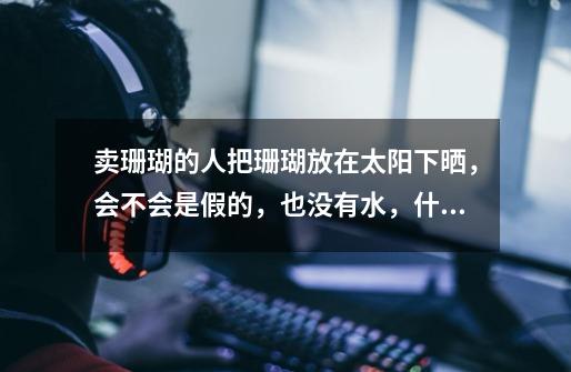 卖珊瑚的人把珊瑚放在太阳下晒，会不会是假的，也没有水，什么味道也没有，怎么样才能养好珊瑚，请教高手-第1张-游戏信息-龙启网