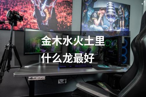 金木水火土里什么龙最好-第1张-游戏信息-龙启网
