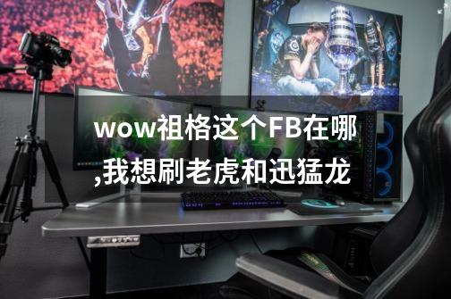 wow祖格这个FB在哪,我想刷老虎和迅猛龙-第1张-游戏信息-龙启网