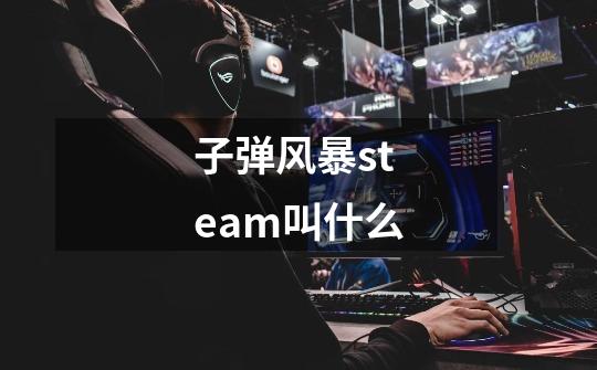 子弹风暴steam叫什么-第1张-游戏信息-龙启网