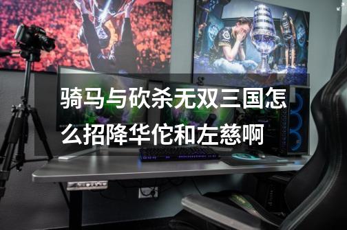 骑马与砍杀无双三国怎么招降华佗和左慈啊-第1张-游戏信息-龙启网