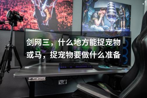 剑网三，什么地方能捉宠物或马，捉宠物要做什么准备-第1张-游戏信息-龙启网