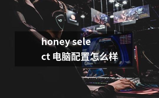 honey select 电脑配置怎么样-第1张-游戏信息-龙启网