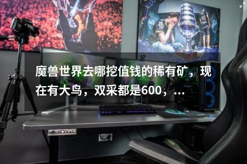 魔兽世界去哪挖值钱的稀有矿,现在有大鸟,双采都是600,就是挖不倒稀有矿啊,求大神指点。要详细点的。-第1张-游戏信息-龙启网