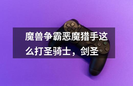 魔兽争霸恶魔猎手这么打圣骑士,剑圣-第1张-游戏信息-龙启网