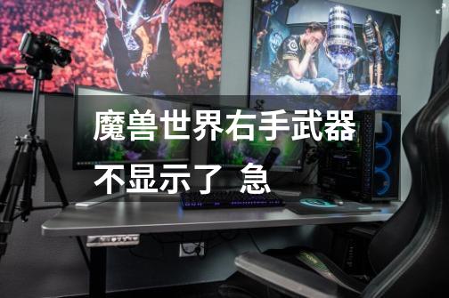 魔兽世界右手武器不显示了  急-第1张-游戏信息-龙启网