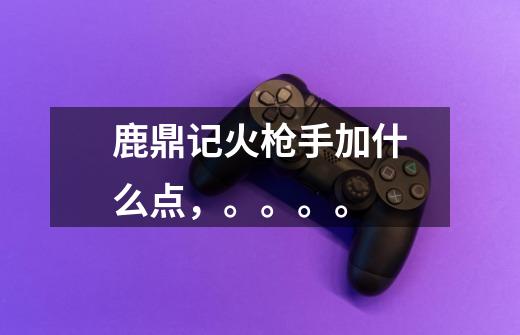 鹿鼎记火枪手加什么点,。。。。-第1张-游戏信息-龙启网