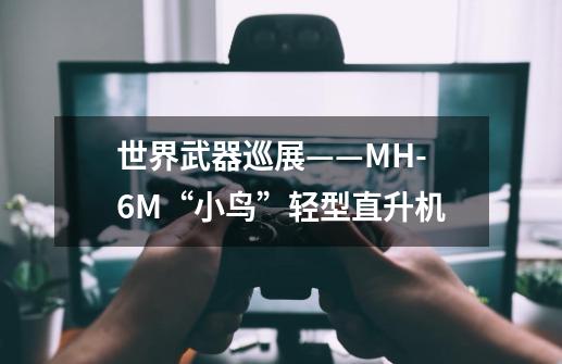 世界武器巡展——MH-6M“小鸟”轻型直升机-第1张-游戏信息-龙启网