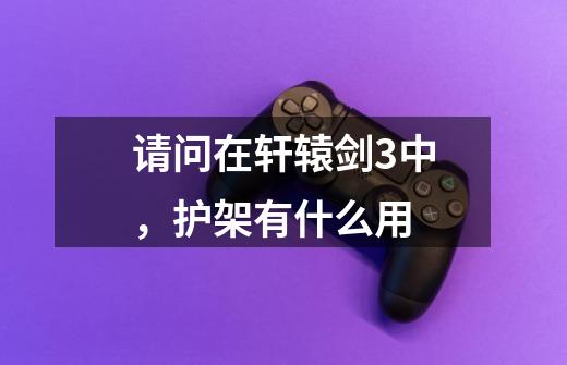请问在轩辕剑3中，护架有什么用-第1张-游戏信息-龙启网