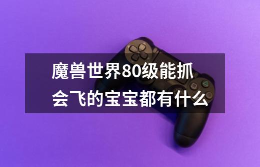 魔兽世界80级能抓会飞的宝宝都有什么-第1张-游戏信息-龙启网