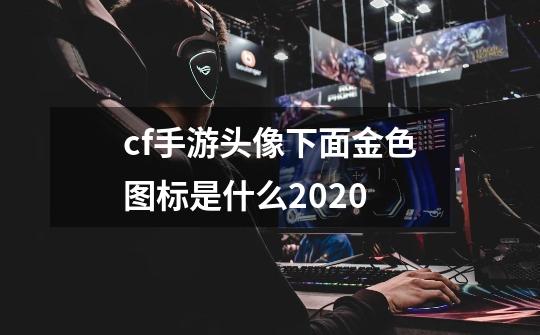 cf手游头像下面金色图标是什么2020-第1张-游戏信息-龙启网