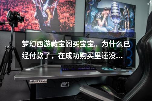 梦幻西游藏宝阁买宝宝。为什么已经付款了，在成功购买里还没有，考察期又是什么-第1张-游戏信息-龙启网