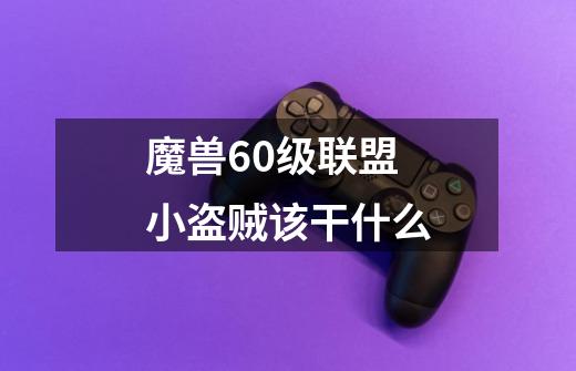 魔兽60级联盟小盗贼该干什么-第1张-游戏信息-龙启网