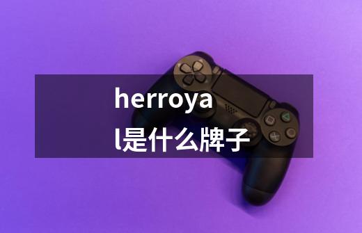 herroyal是什么牌子-第1张-游戏信息-龙启网
