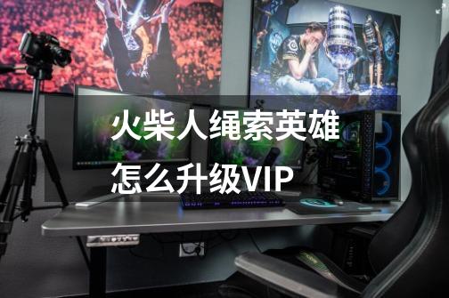 火柴人绳索英雄怎么升级VIP-第1张-游戏信息-龙启网