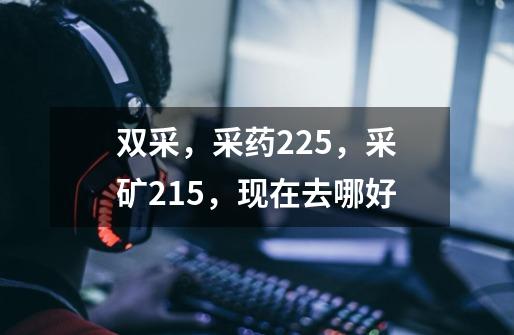 双采,采药225,采矿215,现在去哪好-第1张-游戏信息-龙启网