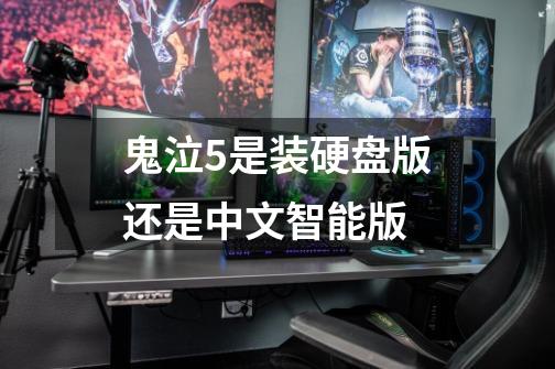 鬼泣5是装硬盘版还是中文智能版-第1张-游戏信息-龙启网
