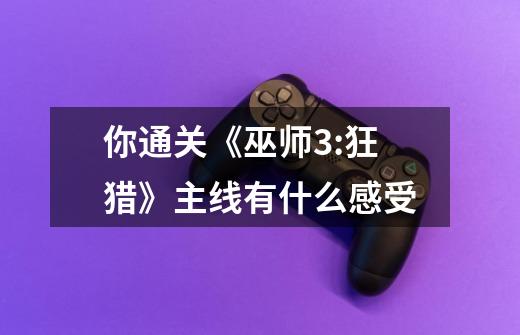 你通关《巫师3:狂猎》主线有什么感受-第1张-游戏信息-龙启网