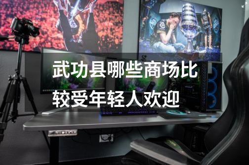 武功县哪些商场比较受年轻人欢迎-第1张-游戏信息-龙启网