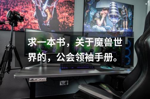 求一本书，关于魔兽世界的，公会领袖手册。-第1张-游戏信息-龙启网