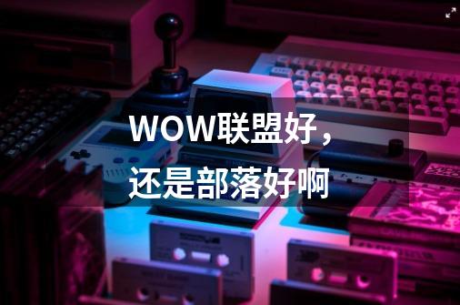 WOW联盟好,还是部落好啊-第1张-游戏信息-龙启网