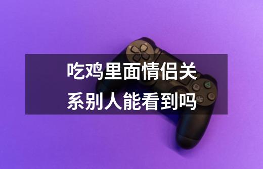 吃鸡里面情侣关系别人能看到吗-第1张-游戏信息-龙启网