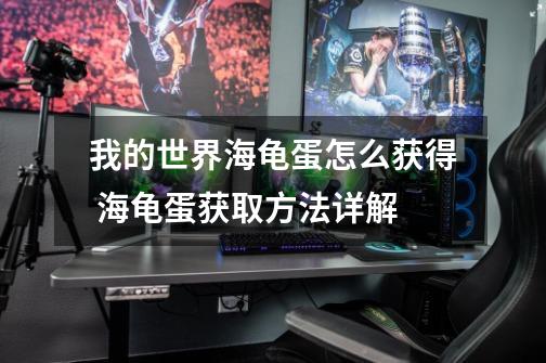 我的世界海龟蛋怎么获得 海龟蛋获取方法详解-第1张-游戏信息-龙启网