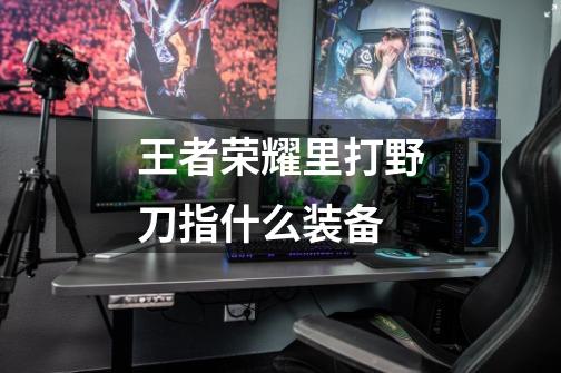 王者荣耀里打野刀指什么装备-第1张-游戏信息-龙启网