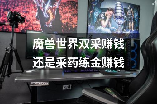 魔兽世界双采赚钱还是采药练金赚钱-第1张-游戏信息-龙启网
