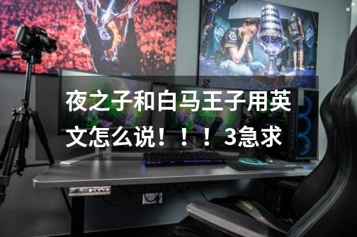 夜之子和白马王子用英文怎么说！！！3急求-第1张-游戏信息-龙启网