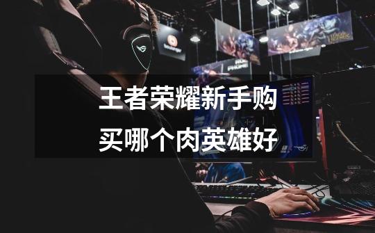 王者荣耀新手购买哪个肉英雄好-第1张-游戏信息-龙启网